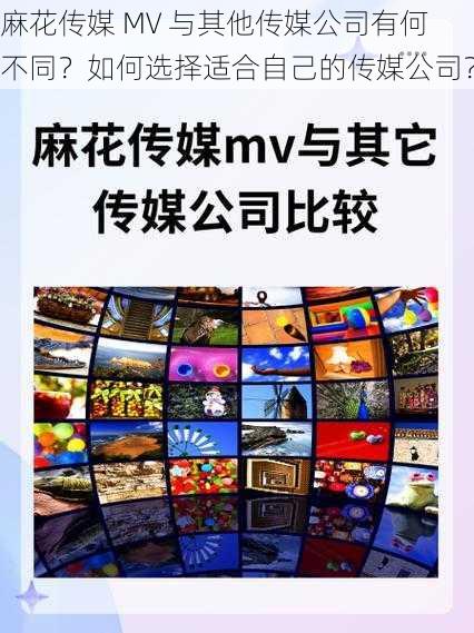 麻花传媒 MV 与其他传媒公司有何不同？如何选择适合自己的传媒公司？