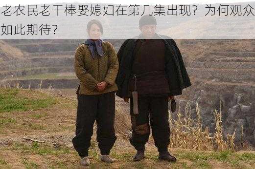 老农民老干棒娶媳妇在第几集出现？为何观众如此期待？