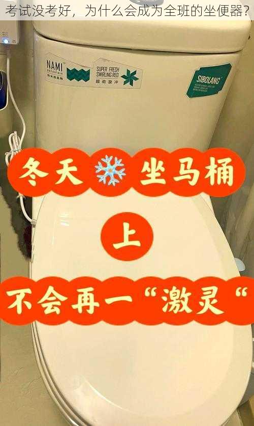 考试没考好，为什么会成为全班的坐便器？