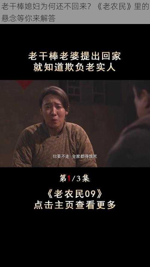 老干棒媳妇为何还不回来？《老农民》里的悬念等你来解答