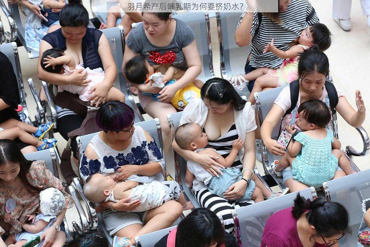 羽月希产后哺乳期为何要挤奶水？