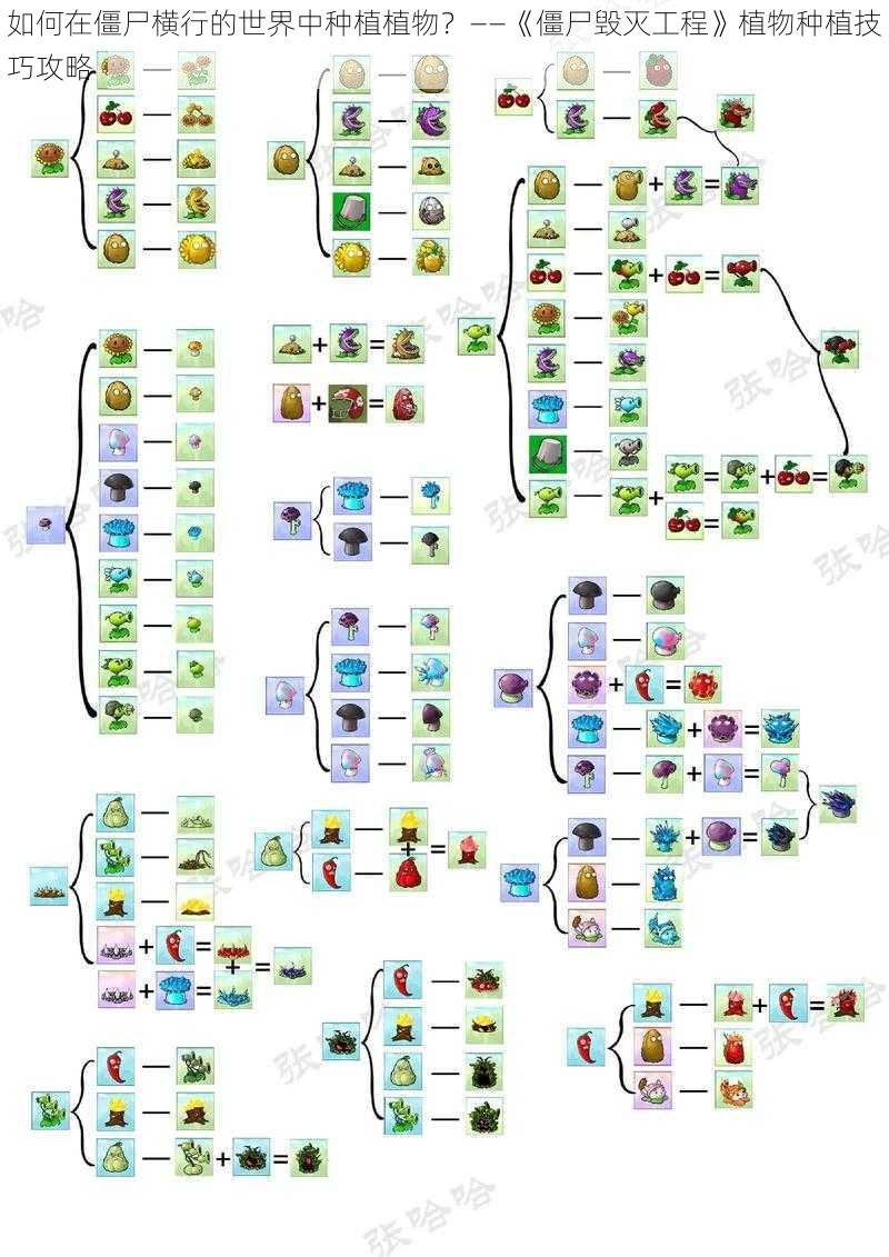 如何在僵尸横行的世界中种植植物？——《僵尸毁灭工程》植物种植技巧攻略