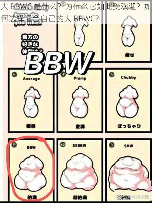 大 BBWC 是什么？为什么它如此受欢迎？如何选择适合自己的大 BBWC？