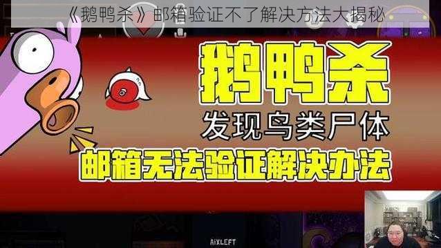 《鹅鸭杀》邮箱验证不了解决方法大揭秘