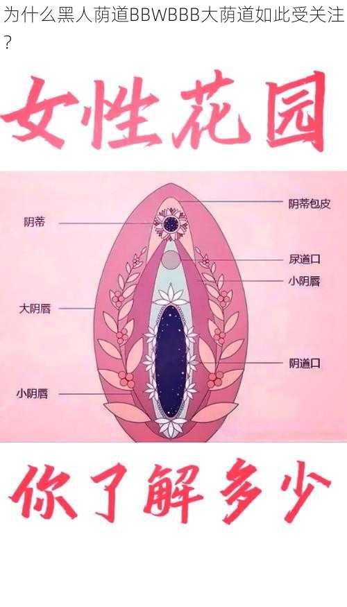 为什么黑人荫道BBWBBB大荫道如此受关注？