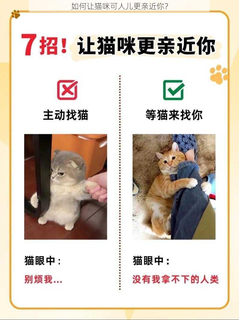 如何让猫咪可人儿更亲近你？