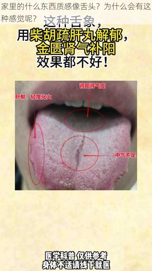 家里的什么东西质感像舌头？为什么会有这种感觉呢？