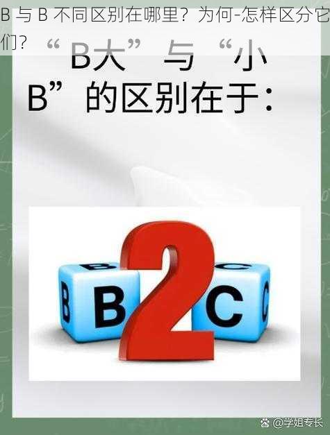 B 与 B 不同区别在哪里？为何-怎样区分它们？