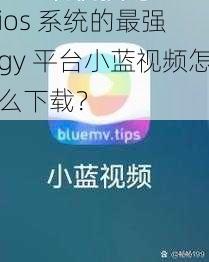 ios 系统的最强 gy 平台小蓝视频怎么下载？