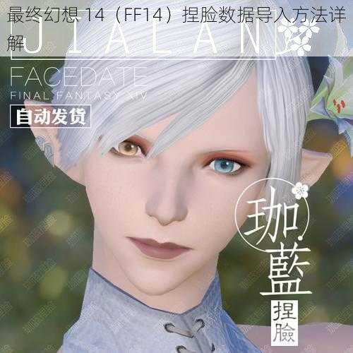 最终幻想 14（FF14）捏脸数据导入方法详解