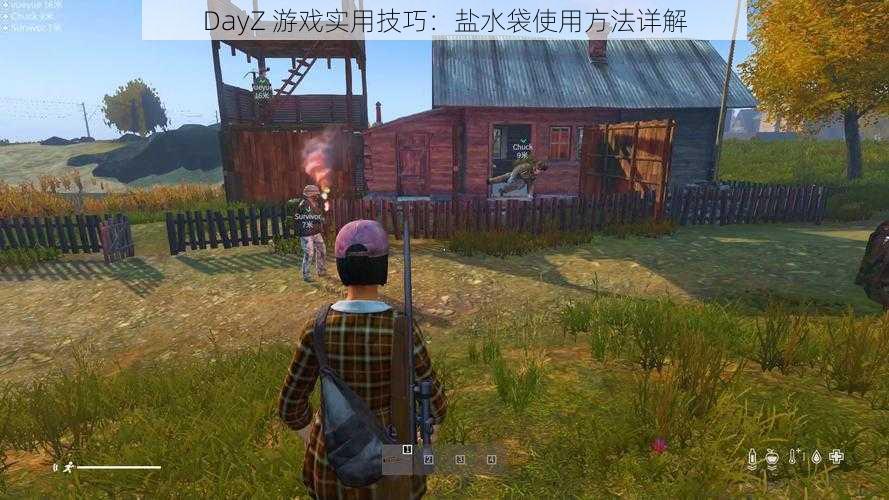 DayZ 游戏实用技巧：盐水袋使用方法详解