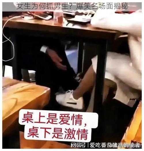 女生为何抓男生？爆笑名场面揭秘