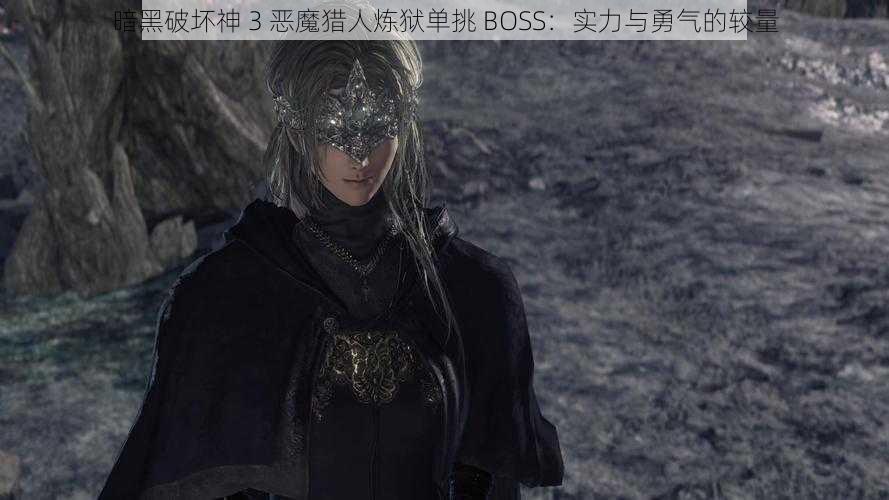 暗黑破坏神 3 恶魔猎人炼狱单挑 BOSS：实力与勇气的较量