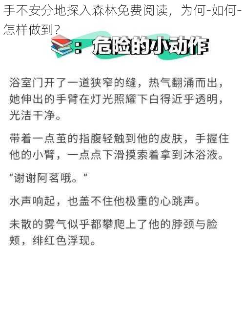 手不安分地探入森林免费阅读，为何-如何-怎样做到？