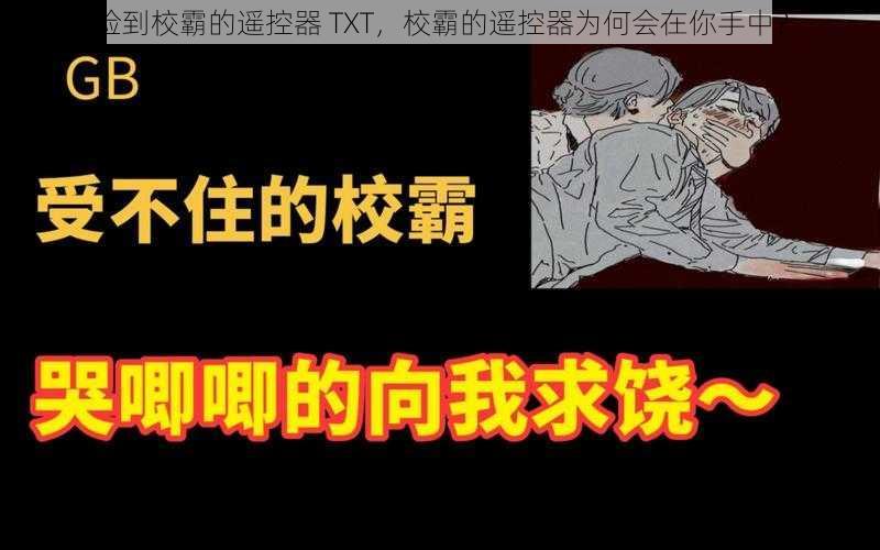 捡到校霸的遥控器 TXT，校霸的遥控器为何会在你手中？