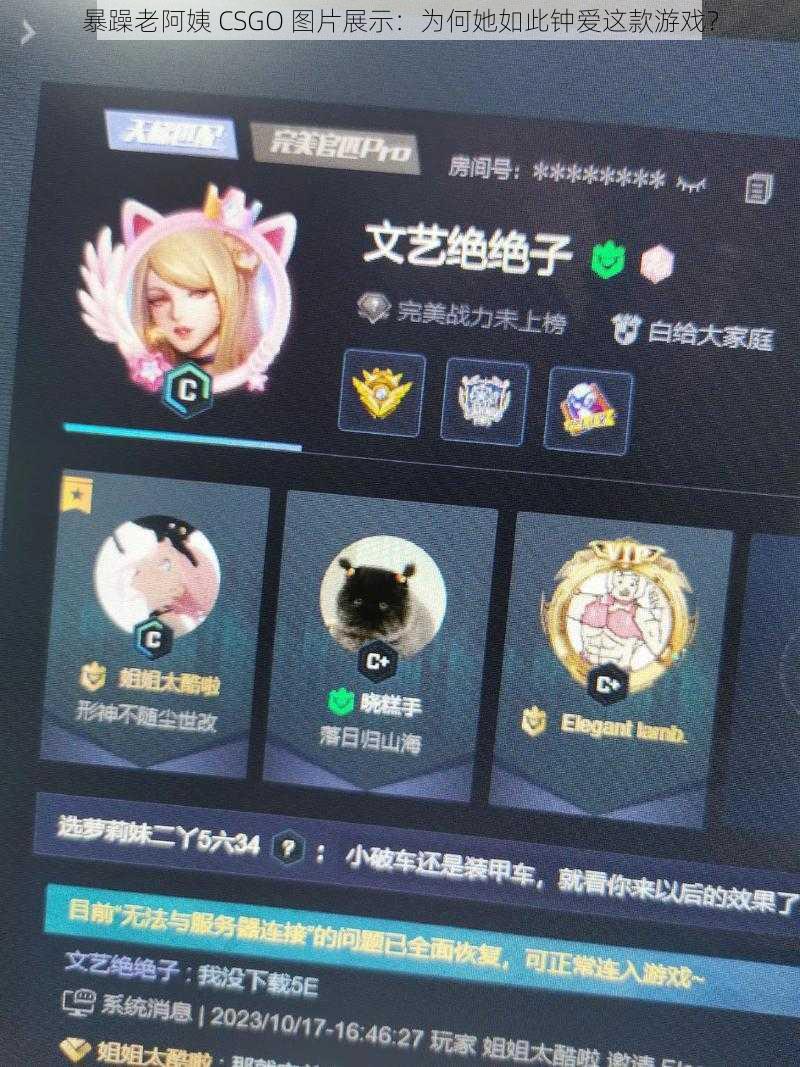 暴躁老阿姨 CSGO 图片展示：为何她如此钟爱这款游戏？