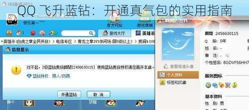QQ 飞升蓝钻：开通真气包的实用指南