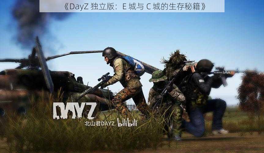 《DayZ 独立版：E 城与 C 城的生存秘籍》