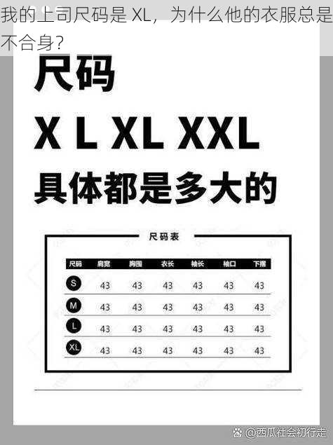 我的上司尺码是 XL，为什么他的衣服总是不合身？