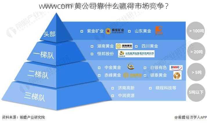 wwwcom 黄公司靠什么赢得市场竞争？