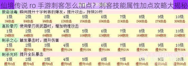 仙境传说 ro 手游刺客怎么加点？刺客技能属性加点攻略大揭秘