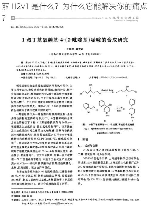 双 H2v1 是什么？为什么它能解决你的痛点？