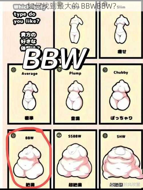 如何找到最大的 BBWBBW？