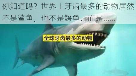 你知道吗？世界上牙齿最多的动物居然不是鲨鱼，也不是鳄鱼，而是……