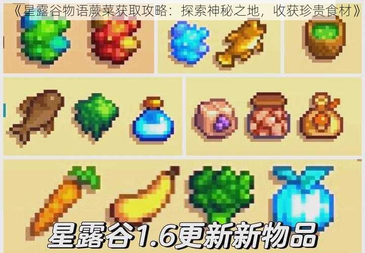 《星露谷物语蕨菜获取攻略：探索神秘之地，收获珍贵食材》