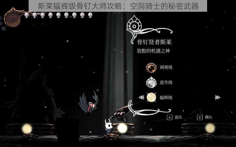 斯莱辐辉级骨钉大师攻略：空洞骑士的秘密武器