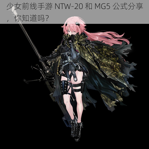 少女前线手游 NTW-20 和 MG5 公式分享，你知道吗？