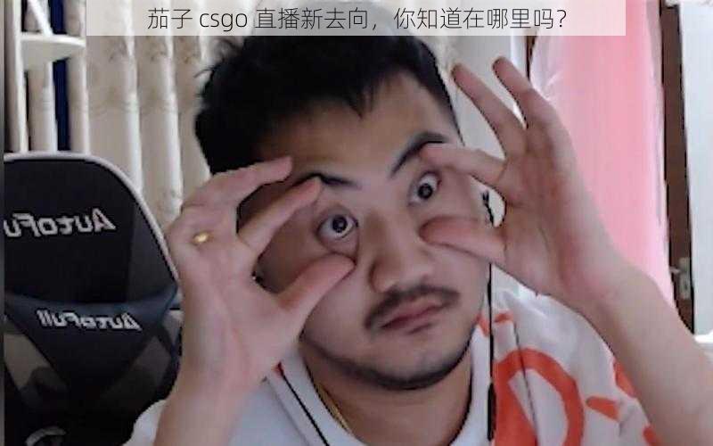 茄子 csgo 直播新去向，你知道在哪里吗？