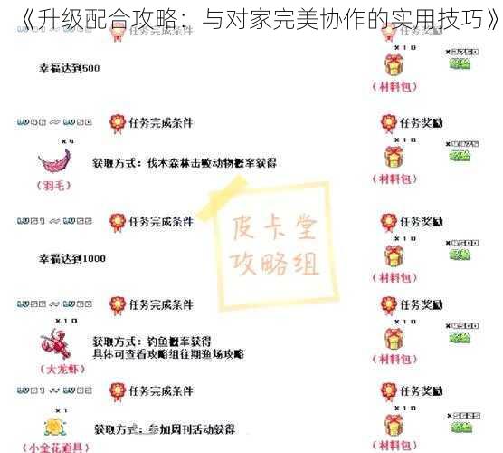 《升级配合攻略：与对家完美协作的实用技巧》