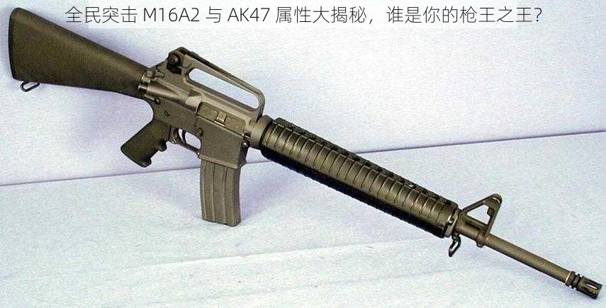 全民突击 M16A2 与 AK47 属性大揭秘，谁是你的枪王之王？