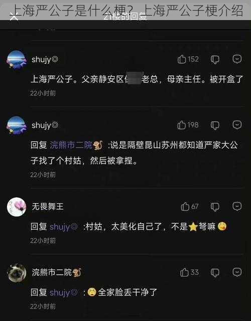 上海严公子是什么梗？上海严公子梗介绍